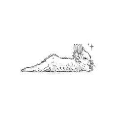 Rabbit Bunny Laying Down Tattoo, Bunny Paw Print Tattoo, Lionhead Rabbit Tattoo, Pet Bunny Tattoo, Pet Rabbit Tattoo, Lop Bunny Tattoo, Fine Line Bunny Tattoo, Bunny Tattoo Cute, Minimalist Bunny Tattoo