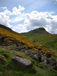 the mountains are covered in yellow flowers and grass, as well as large rocks on either side