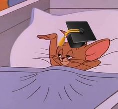 a cat in a graduation cap on top of a bed