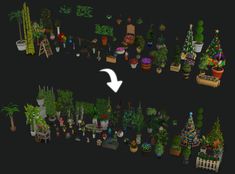 an array of plants and potted trees are shown in this screenshot from the video