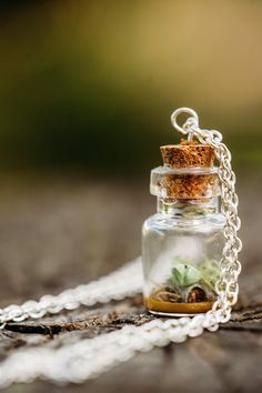 a tiny glass jar filled with plants on a chain