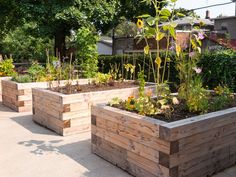 several wooden planters sitting in the middle of a sidewalk next to trees and bushes