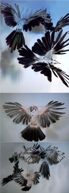 three different images of birds flying in the sky with their wings spread out and one is upside down