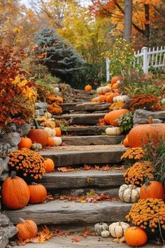 pumpkins and gourds are arranged on the steps