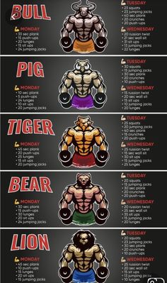 the 28 day challenge poster shows how to build muscle muscles for each type of body