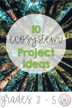 Ecosystem Stem Projects, Ecosystem Projects 3rd Grade, Ecosystem Lesson Plans, Ecology Projects Middle School, Grade 6 Biodiversity Project, Ecosystem Activities 3rd, Fourth Grade Projects, Ecosystem Activities Middle School, Fun Learning Activities For 3rd Graders