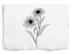 two sunflowers are drawn on a piece of paper