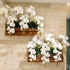 two wooden boxes with white flowers in them on the wall next to a glass door