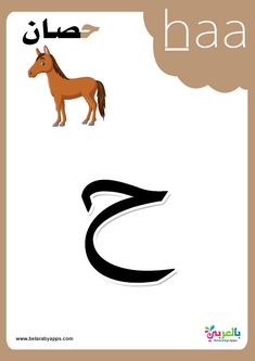 the letter s is for horse