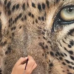 a woman is drawing on the side of a cheetah's face with colored pencils