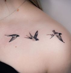 Swallow Birds Tattoo, Three Little Birds Tattoo, Birds Tattoo, 3 little birds tattoo, birds tattoo on arm, feather with birds tattoo, two birds tattoo, three birds tattoo, 3 birds tattoo, flock of birds tattoo, japanese birds tattoo, family 3 birds tattoo, love birds tattoo, flying birds tattoo, birds tattoo meaning, little birds tattoo, 3 birds tattoo meaning, tree with birds tattoo, color birds tattoo, 2 birds tattoo, small birds tattoo, black birds tattoo, birds tattoo ideas 3 Birds Tattoo Collar Bone, Wrist Swallow Tattoo, Haming Bird Tattoo Design, Collarbone Bird Tattoos For Women, Three Flying Birds Tattoo, 3 Swallow Bird Tattoo, Three Birds Flying Tattoo, Delicate Swallow Tattoo, Birds Chest Tattoo Female