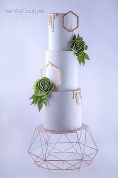 a three tiered white cake with succulents on top