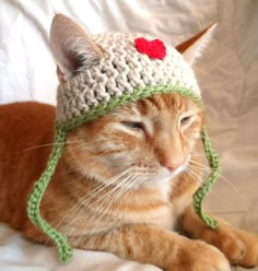 an orange cat wearing a crocheted hat with a red heart on it's forehead