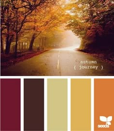 an autumn color palette with the words autumn journey