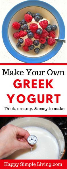 make your own greek yogurt with berries and blueberries