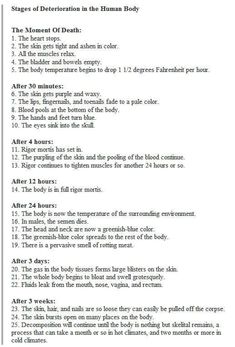 the instructions for how to make an origami body