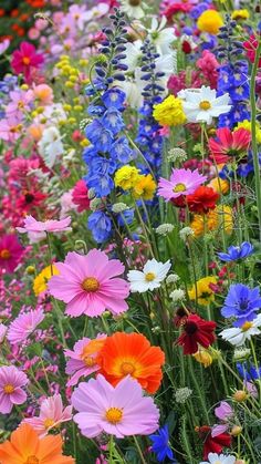 many different colored flowers in a field