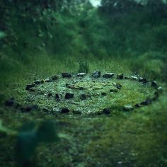 a circle of rocks in the middle of a grassy area with trees and bushes around it