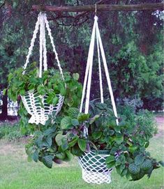 two hanging baskets filled with plants in the grass