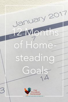 a calendar with the words 12 months of home - stealing goals