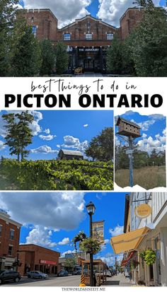 the best things to do in picton ontario