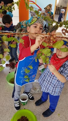 two children are picking grapes from the vine