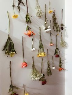 flowers are hanging on the wall in front of a white wall with many different types of flowers