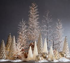 a group of christmas trees with snow on them and gold ornaments in front of it