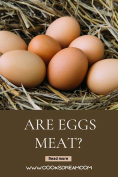 eggs in a nest with the words are eggs meat?