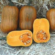 the pumpkins have been cut in half and are ready to be used as decorations