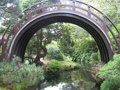 a wooden bridge over a small river surrounded by greenery