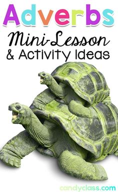 the words adverbs, mini - lesson and activity ideas are in front of two turtles