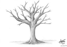 a pencil drawing of a tree with no leaves