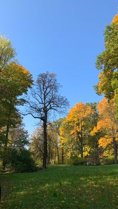 the trees are changing colors in the park