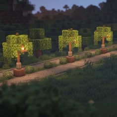 a row of trees in the middle of a park at night with lights shining on them