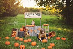 Pumpkin Patch Ideas, Pumpkin Stand, Photo Halloween, Pumpkin Stands