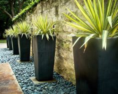 there are many plants in black pots on the side of this wall and gravel is next to it