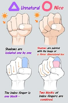 an illustrated guide to the different types of fingers