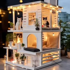 a cat is sitting on top of a doll house with lights around it and two cats in the window