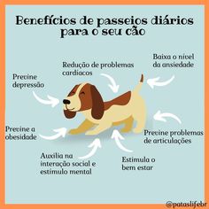 a dog is shown with the words in spanish, and an image of its features