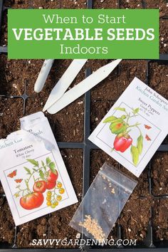 When should you start vegetable seeds indoors? Discover the best timing for planting seeds and how to plan your garden effectively. With tips on indoor gardening and budget-friendly gardening ideas, you'll be ready to grow your vegetables with ease. #PlantingSeeds #GardenPlanning