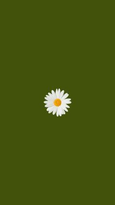 a single white daisy sitting on top of a green surface with yellow center in the middle