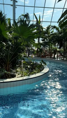 an indoor swimming pool with blue water and palm trees in the backgrounnd