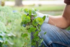 a man is sitting in the grass with some plants growing on his legs and hands