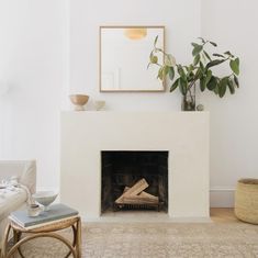 a living room with a fire place and potted plant