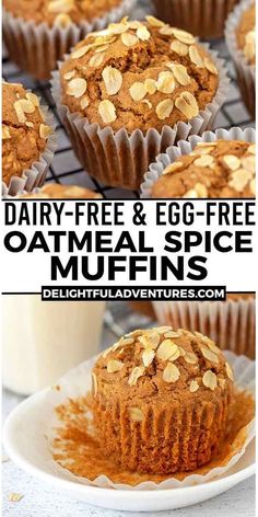 a close up of some muffins on a plate with the words dairy - free & egg - free oatmeal spice muffins