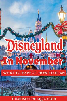 disneyland in november what to expect how to plan