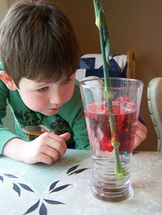 a young boy sitting at a table with a vase filled with flowers and liquid in it