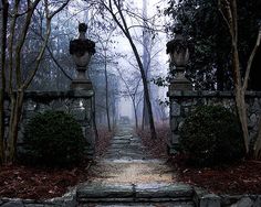 a stone pathway leads to a statue in the middle of a foggy park area