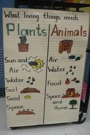 a sign that says what living things need plants and animals